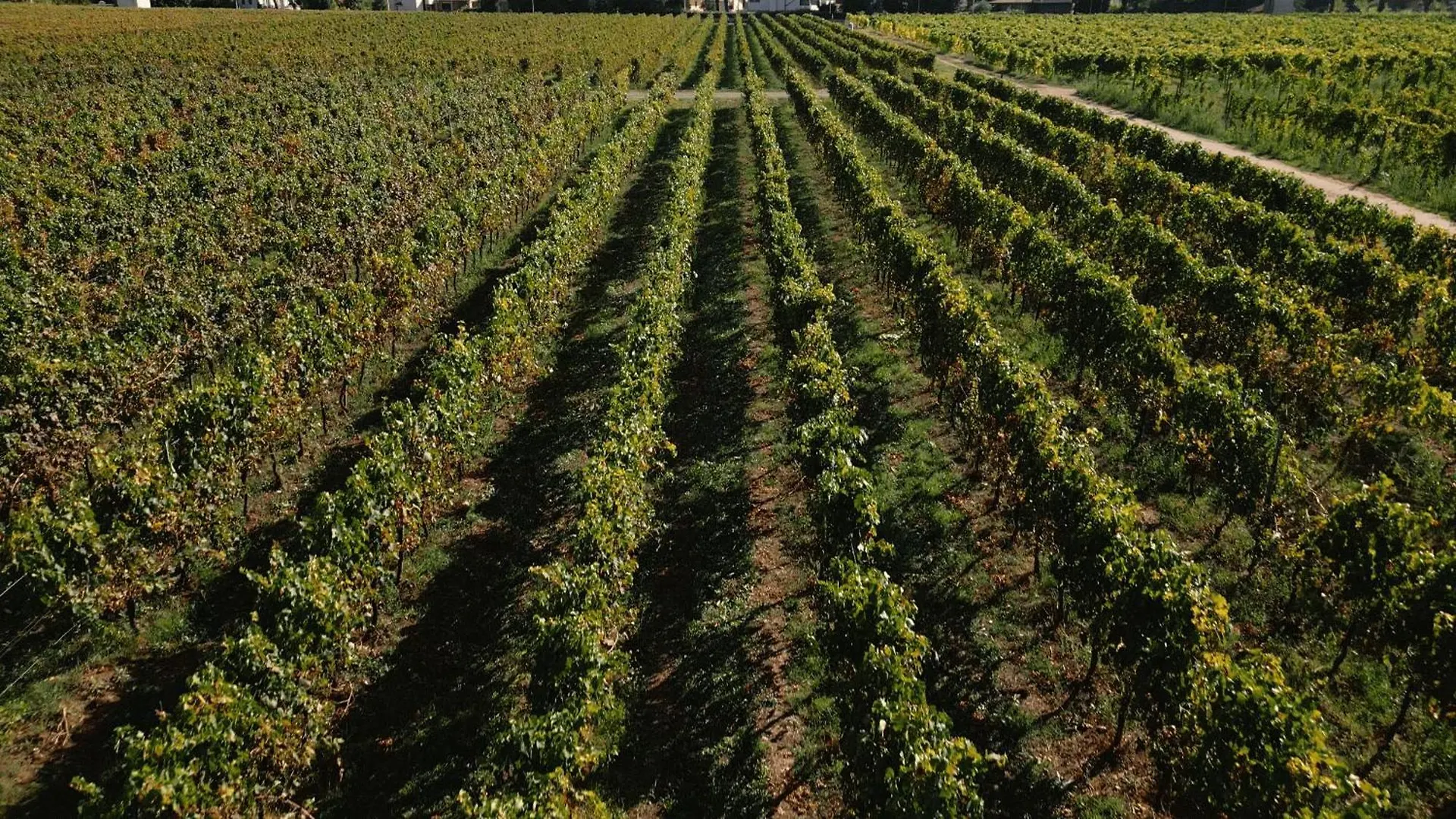 Farm stay Villa Cavalletti Camere Grottaferrata Italy