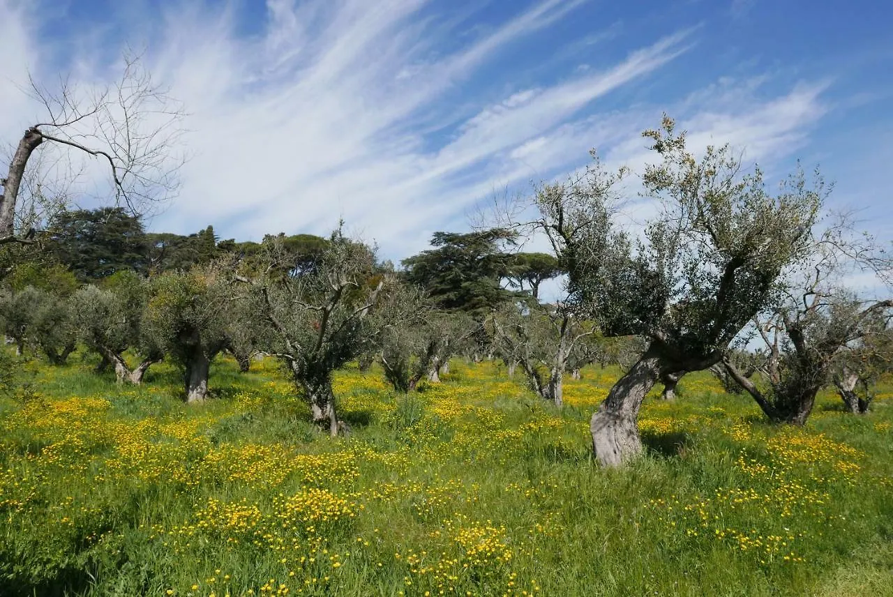 Villa Cavalletti Camere Grottaferrata Farm stay