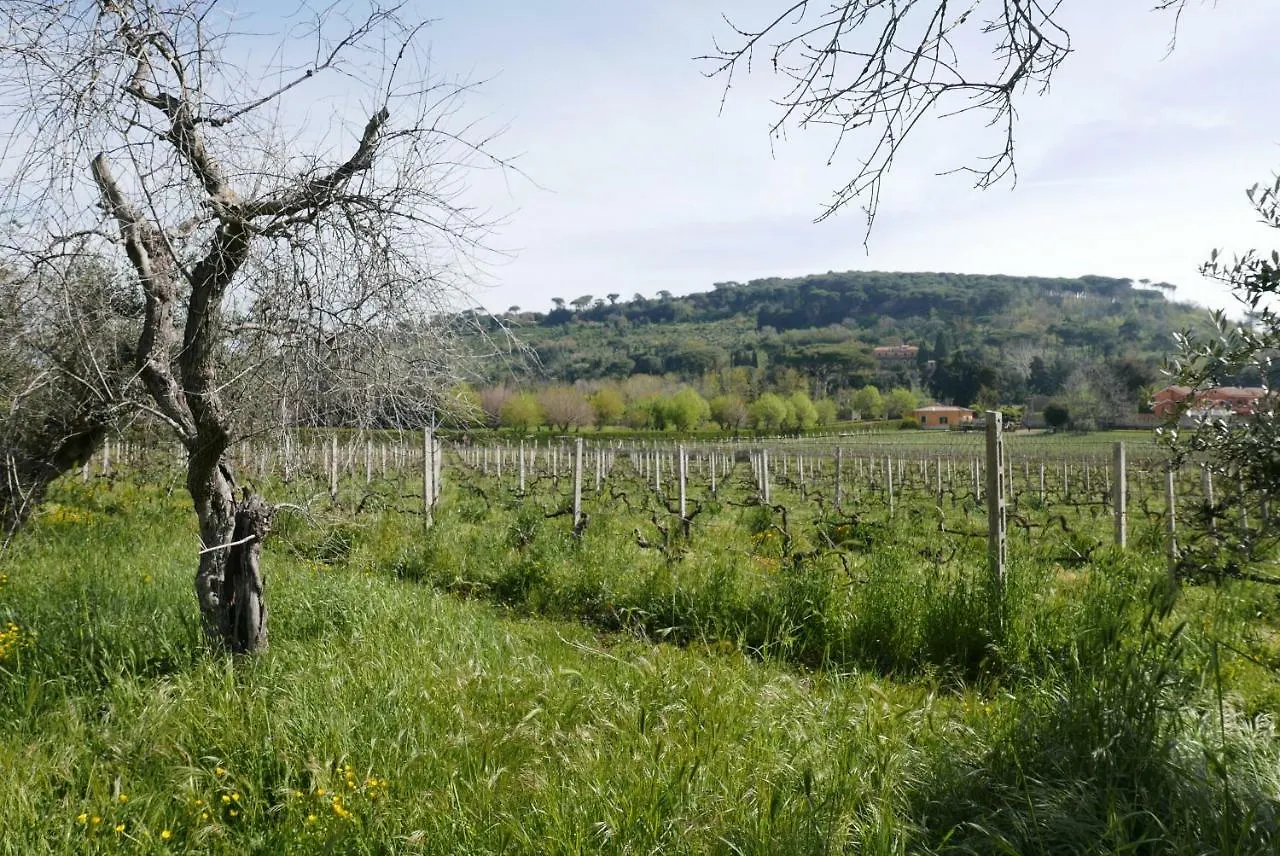 Villa Cavalletti Camere Grottaferrata