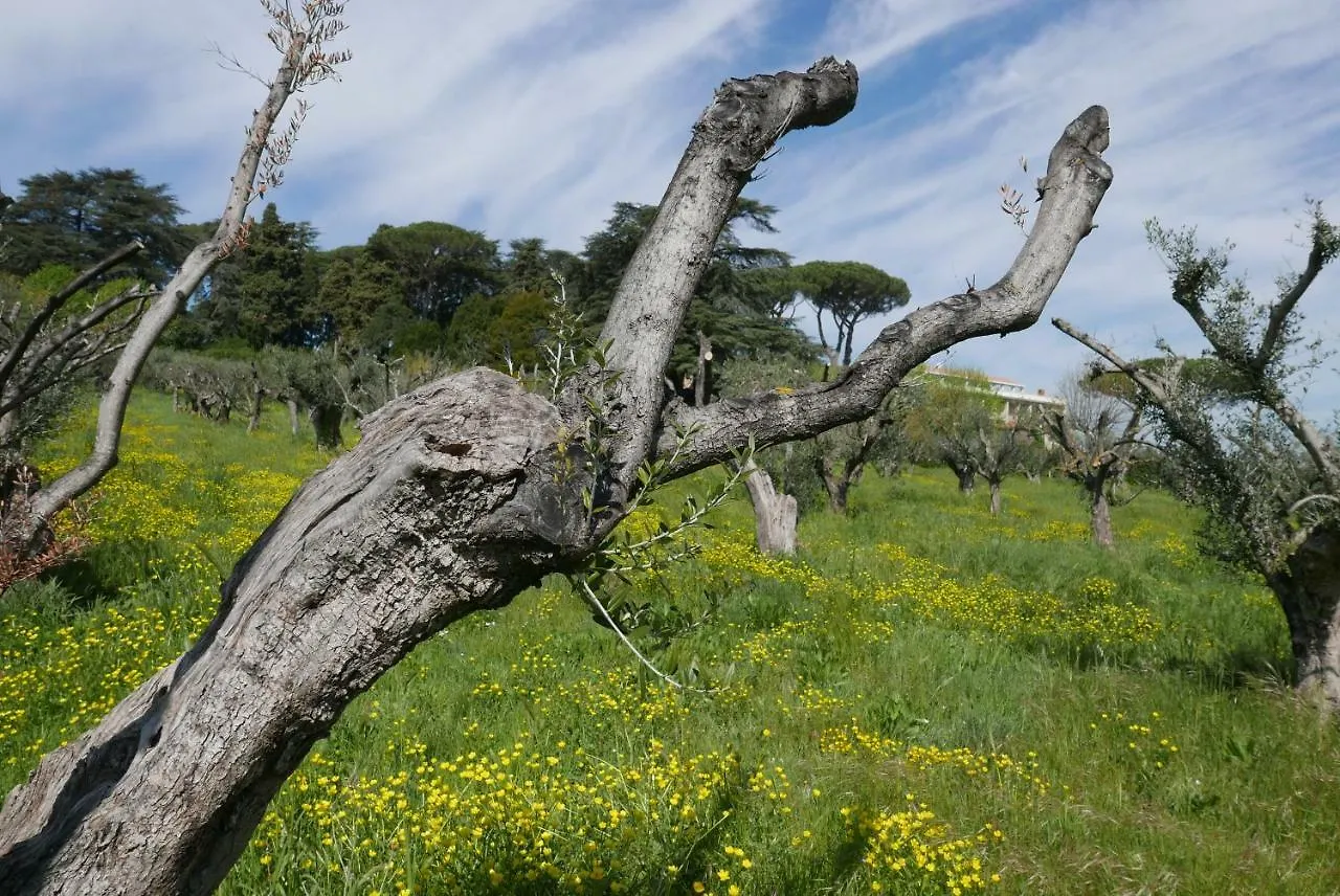 Villa Cavalletti Camere Grottaferrata Farm stay