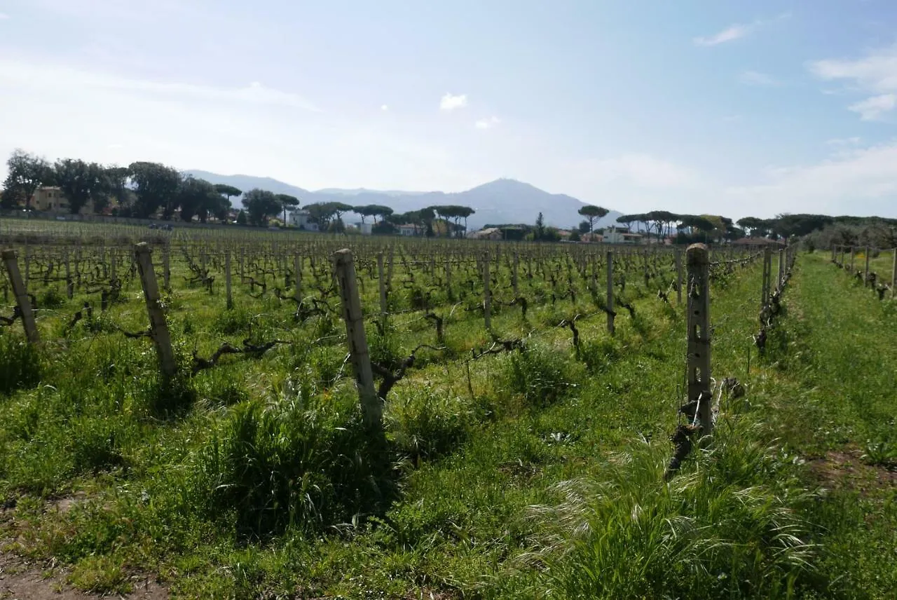 Villa Cavalletti Camere Grottaferrata Italy