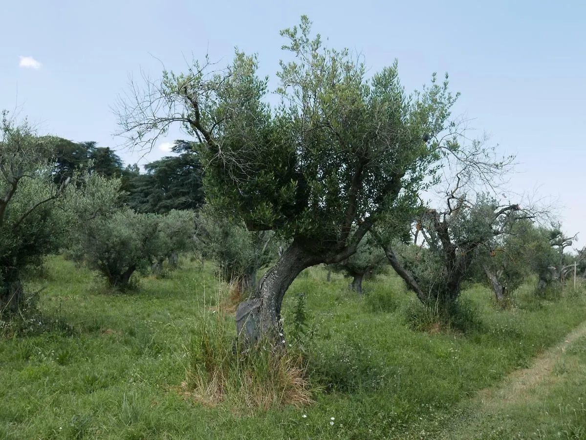 Farm stay Villa Cavalletti Camere Grottaferrata